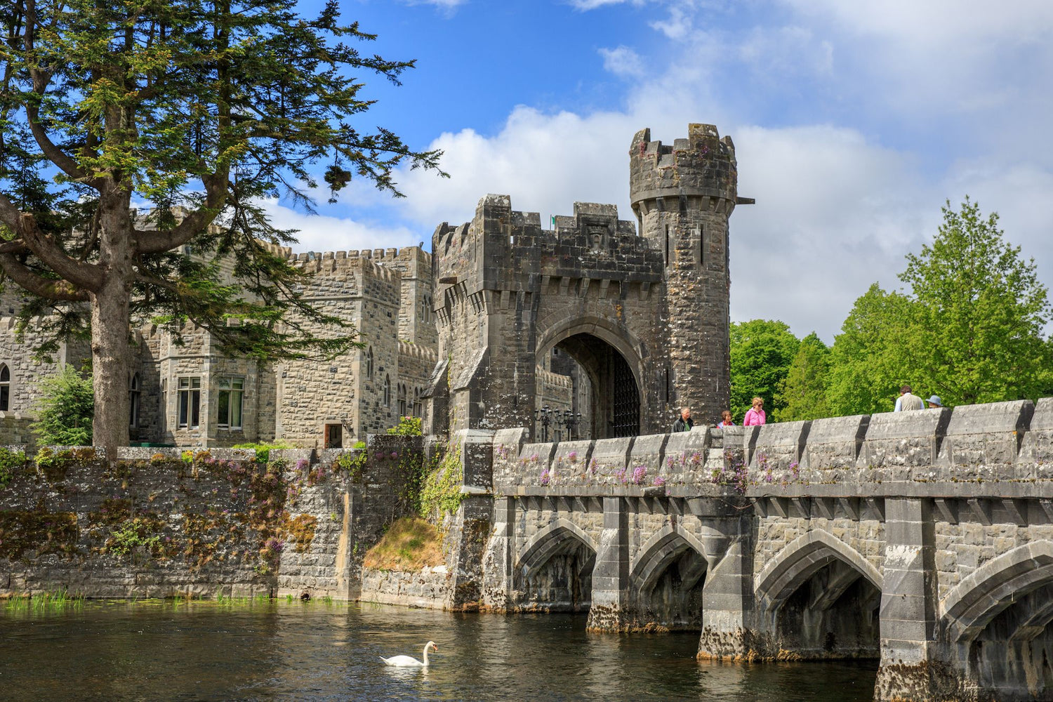 Irish Inspirations: Ashford Castle